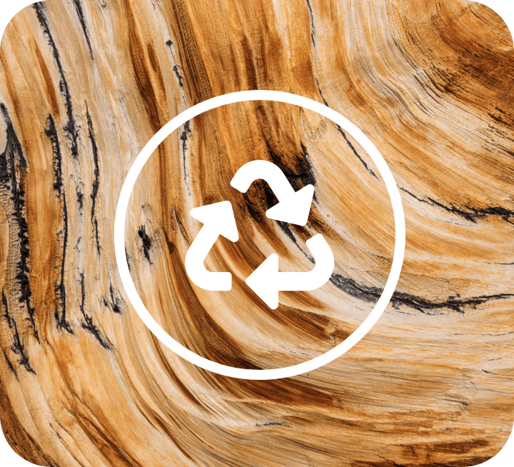 bo_construction_nachhaltigkeit_icon_holz_web