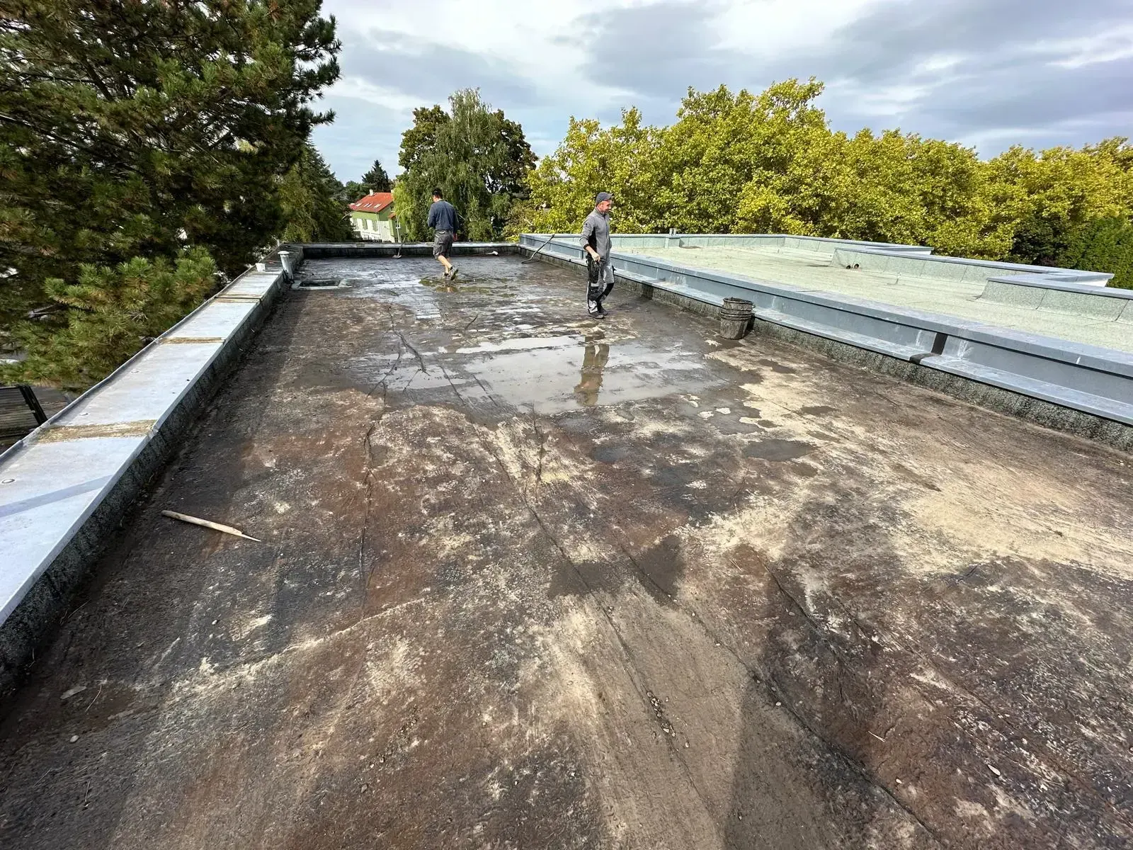 Bestandsdach vor der Reparatur mit Algenbefall und stehendem Wasser